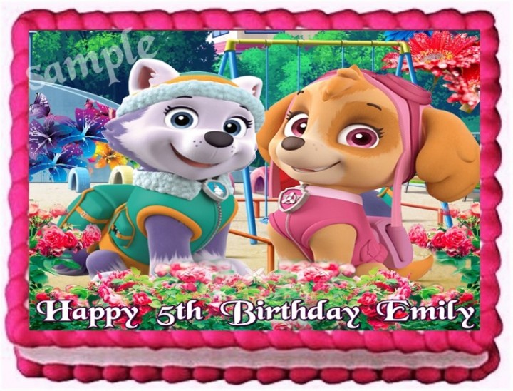 Ebluejay Paw Patrol Everest And Skye Edible Cake Topper Birthday Image Decoration - paw patrol roblox song ids