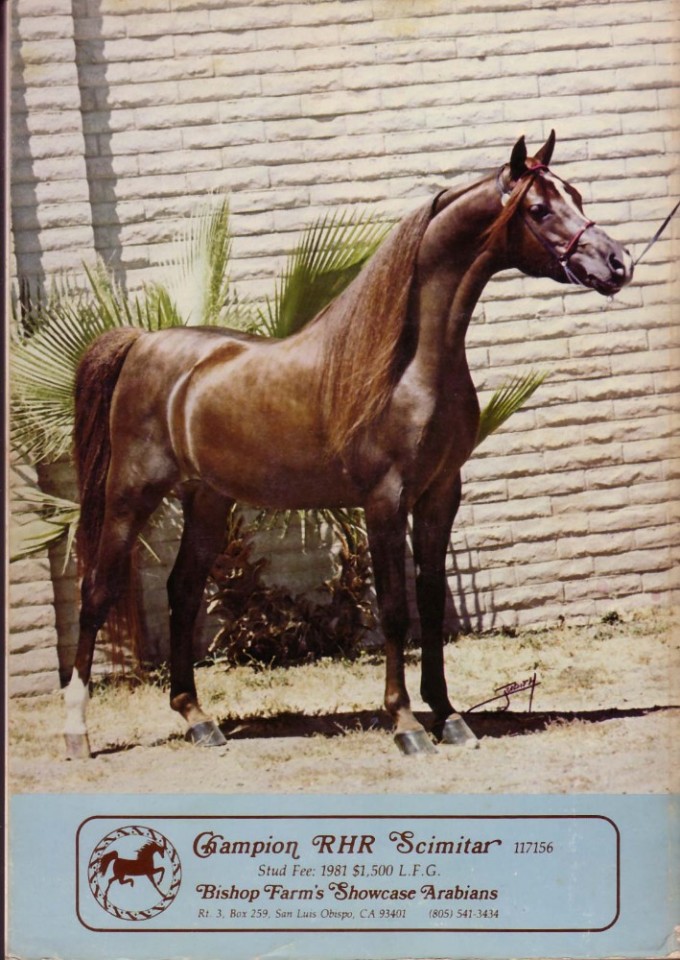 eBlueJay: Arabian Horse World 11/80, SAAM, 1980 Lasma Symposium, Artist ...