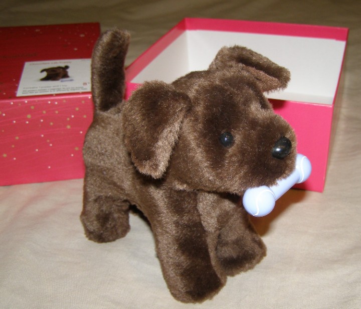 American girl doll shop chocolate lab puppy