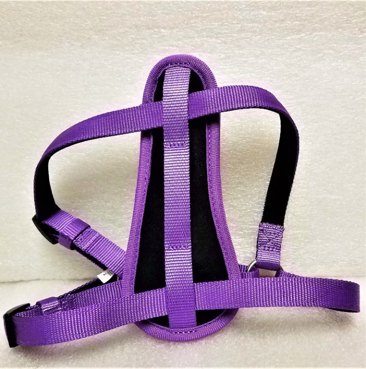 Pet champion shop comfort harness