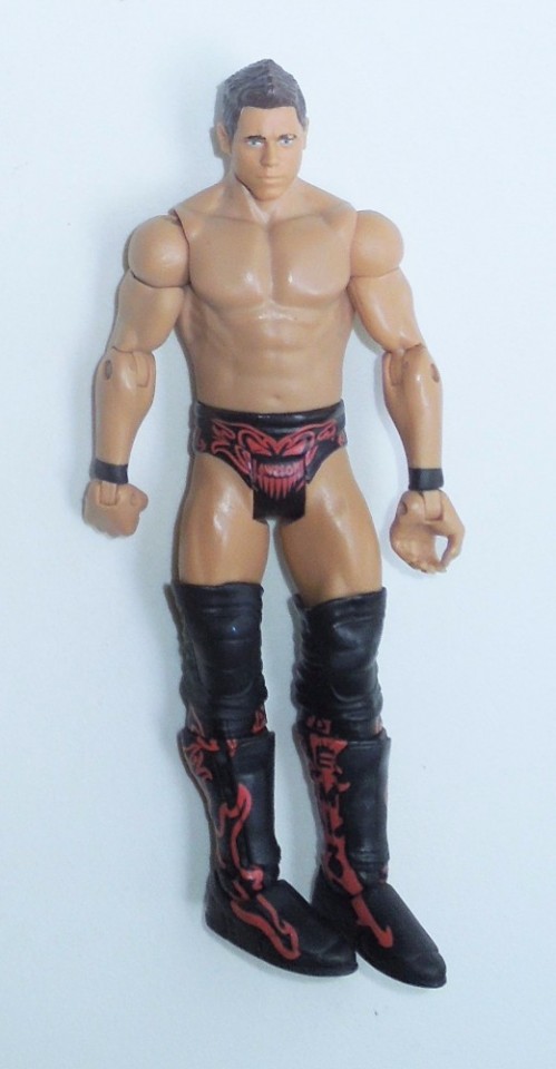 2010 mattel wwe action figures